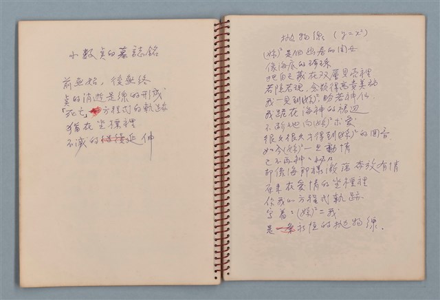 主要名稱：空門聯立方程式等詩作手稿（筆記本）圖檔，第22張，共41張