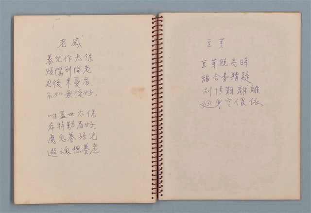 主要名稱：空門聯立方程式等詩作手稿（筆記本）圖檔，第32張，共41張