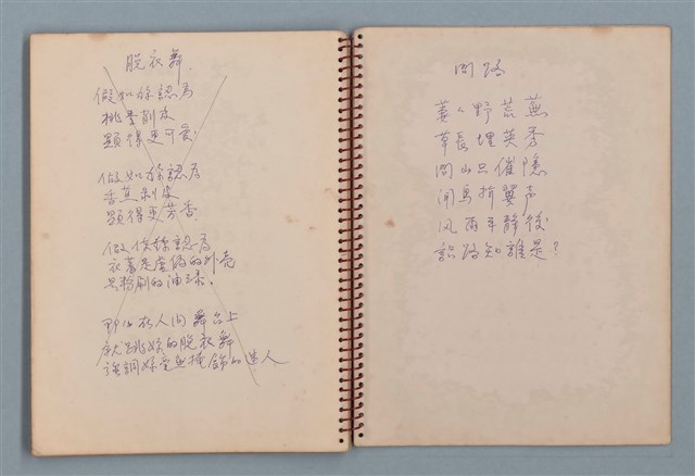 主要名稱：空門聯立方程式等詩作手稿（筆記本）圖檔，第38張，共41張