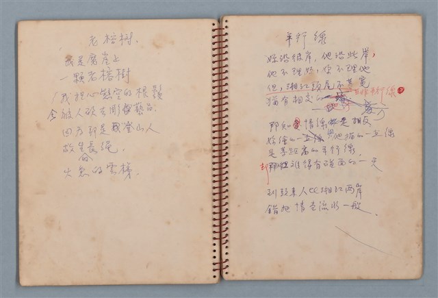 主要名稱：拔河比賽等詩作手稿（筆記本）圖檔，第22張，共36張