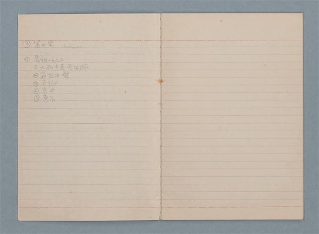 主要名稱：〈小小醜醜的蓮霧〉等文稿圖檔，第4張，共6張