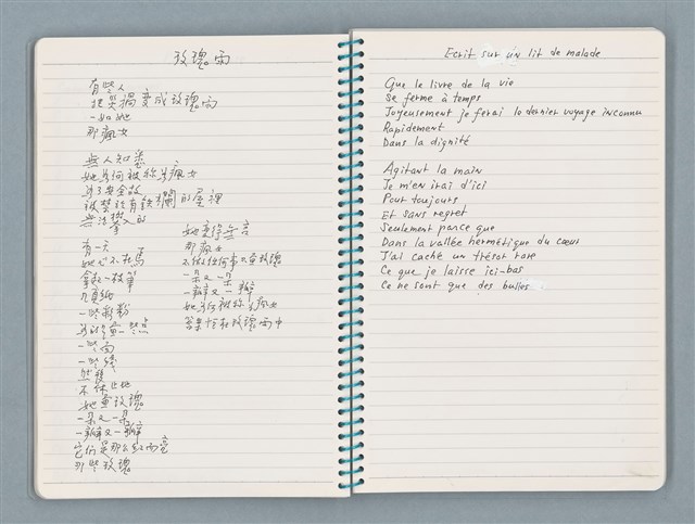 主要名稱：〈瓷像〉等文章翻譯剪輯圖檔，第21張，共59張