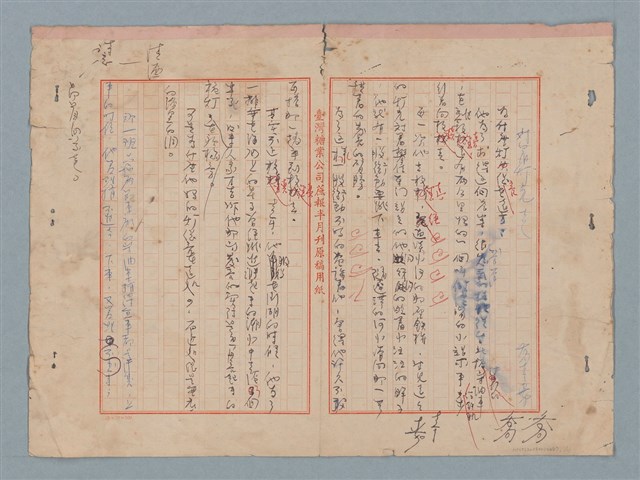 主要名稱：對著燈光走圖檔，第1張，共11張