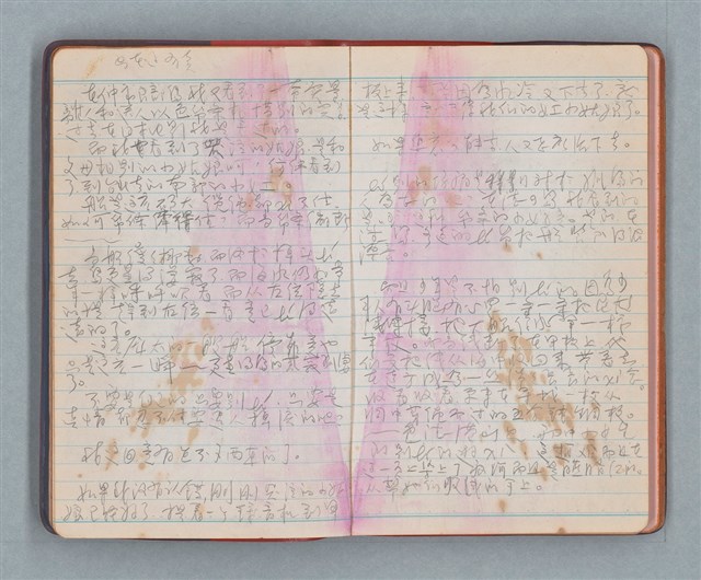 主要名稱：日記隨筆（紅色筆記本）圖檔，第10張，共36張