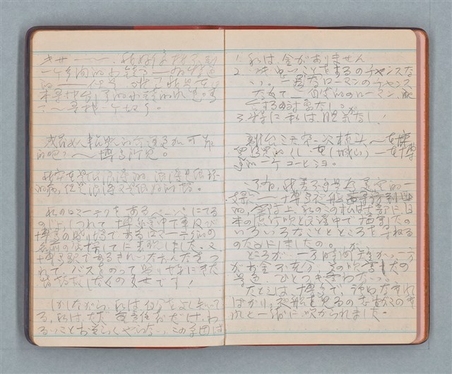 主要名稱：日記隨筆（紅色筆記本）圖檔，第14張，共36張