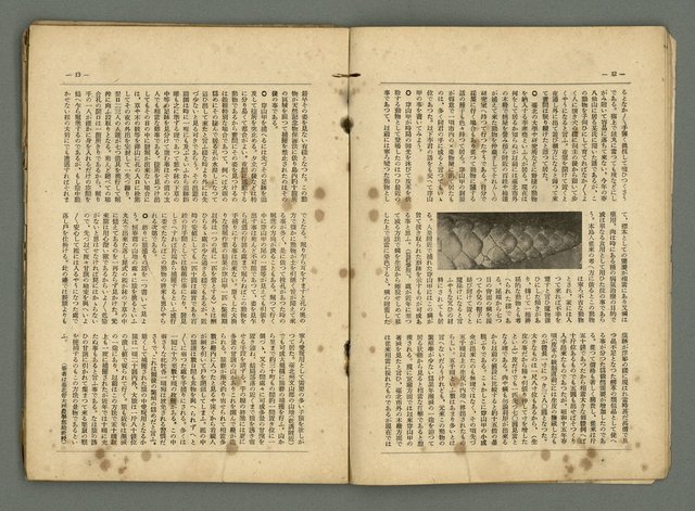 期刊名稱：民俗臺灣2卷12號圖檔，第11張，共32張