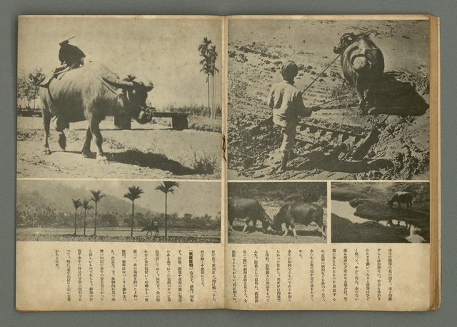 期刊名稱：民俗臺灣4卷5號圖檔，第18張，共34張