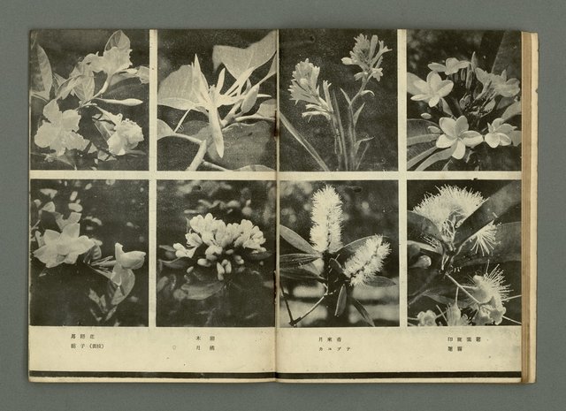 期刊名稱：民俗臺灣2卷10號通卷16號圖檔，第17張，共33張