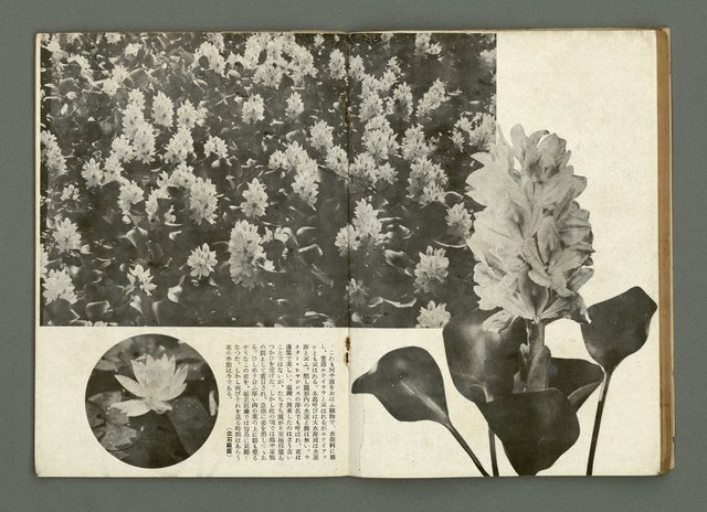 期刊名稱：民俗臺灣3卷9號通卷27號圖檔，第18張，共37張