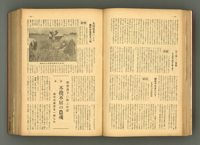 主要名稱：新建設、旬刊台新、台灣藝術等期刊多期數合訂本圖檔，第65張，共331張