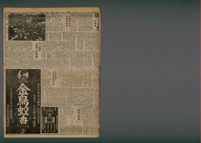 報紙名稱：臺灣新民報 822號圖檔，第4張，共5張