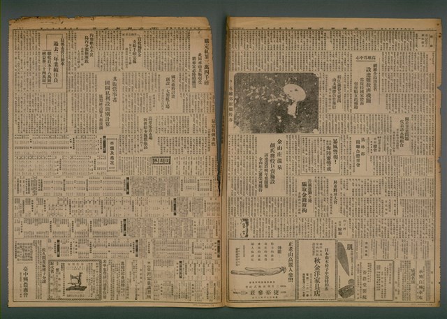 報紙名稱：臺灣新民報 957號（1933-10-19）圖檔，第2張，共5張