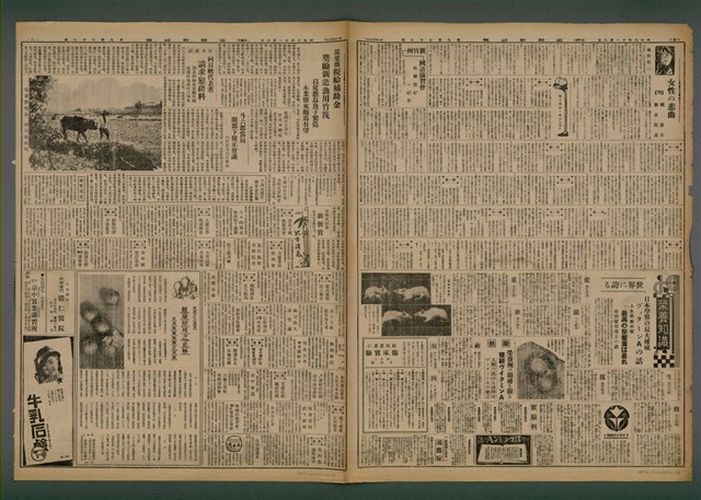 報紙名稱：臺灣新民報 977號（1933-11-08）圖檔，第3張，共5張