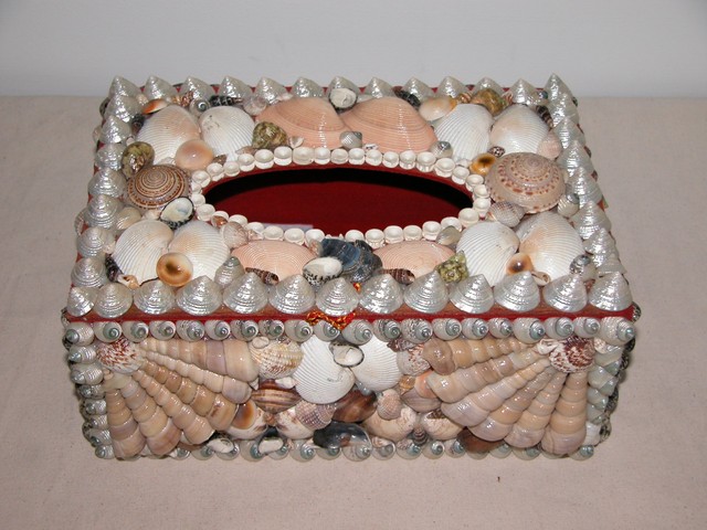 貝殼面紙盒