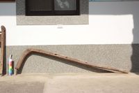 藏品(引木)的圖片