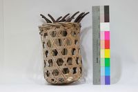 藏品(鐮刀藍)的圖片