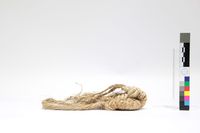 藏品(牛草鞋)的圖片