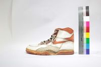 藏品(球鞋)的圖片