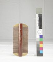 藏品(頭蝨梳)的圖片