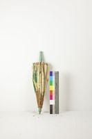 藏品(紙傘)的圖片