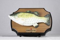 藏品(砧板魚)的圖片