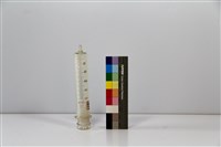 藏品(灌食針筒)的圖片