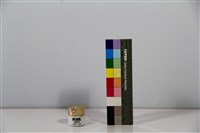 藏品(珍珠膏)的圖片