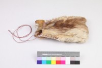 藏品(獸皮煙草袋)的圖片