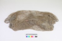 藏品(魚網)的圖片