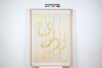 藏品(冰裂梅花彩帶 )的圖片