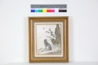 藏品(斑錦彪)的圖片