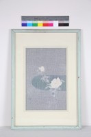 藏品(薔薇)的圖片