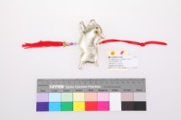 藏品(金豬造型生肖香包)的圖片