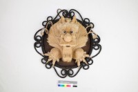 藏品(麻編龍首壁飾)的圖片