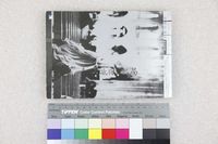 藏品(玫瑰的破綻)的圖片