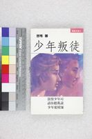 藏品(少年叛徒)的圖片