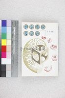 藏品(從聽診器的那端)的圖片