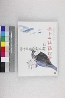 藏品(與玉山杜鵑約會)的圖片