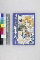 藏品(迷洞中的陌生人)的圖片