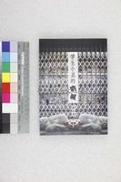 藏品(孿生小丑的吶喊)的圖片