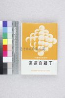 藏品(丁潁自選集)的圖片