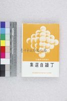 藏品(丁潁自選集)的圖片