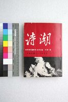 藏品(詩潮第一集)的圖片