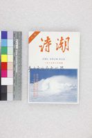 藏品(詩潮第五集)的圖片