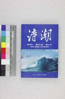 藏品(詩潮第八集)的圖片