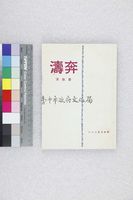 藏品(奔濤(複製版))的圖片