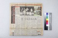 館藏編號:20180050602的藏品圖