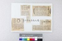 藏品(剪報)的圖片