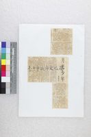 藏品(柯翠芬-月光少年)的圖片