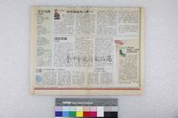 藏品(詹義農-文旦花開)的圖片